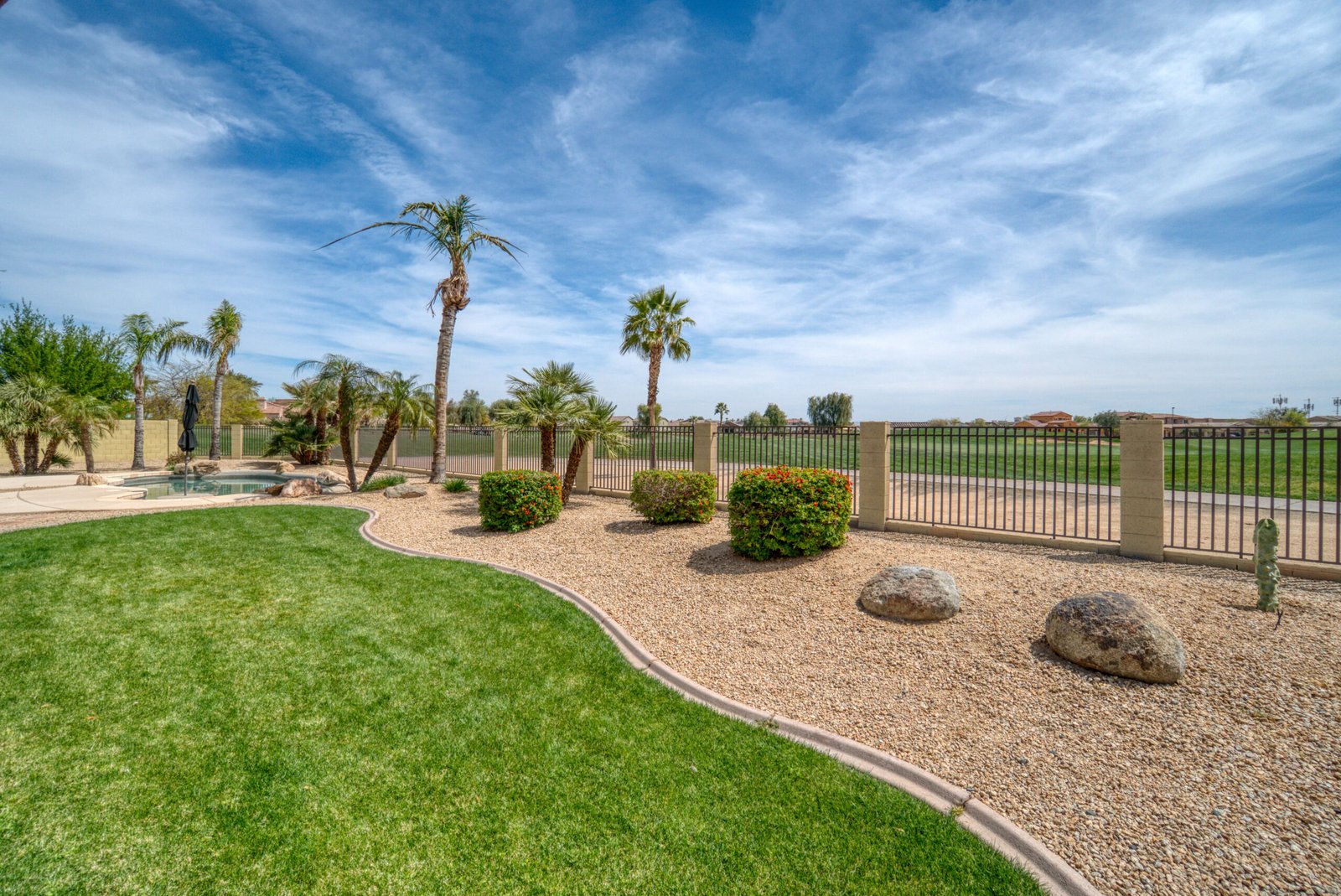 Sunny Arizona backyard with palms, green lawn and room to enjoy the outdoors