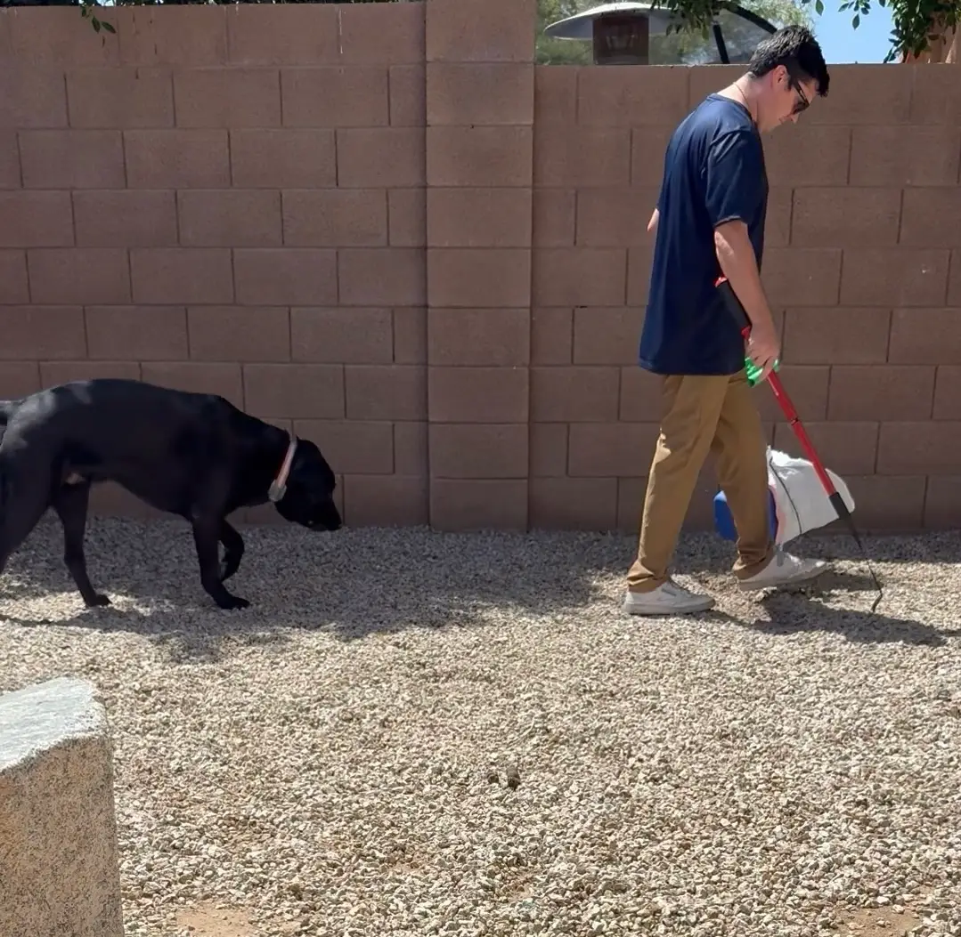 Plunto providing pet waste removal in a Goodyear yard with a black dog nearby.