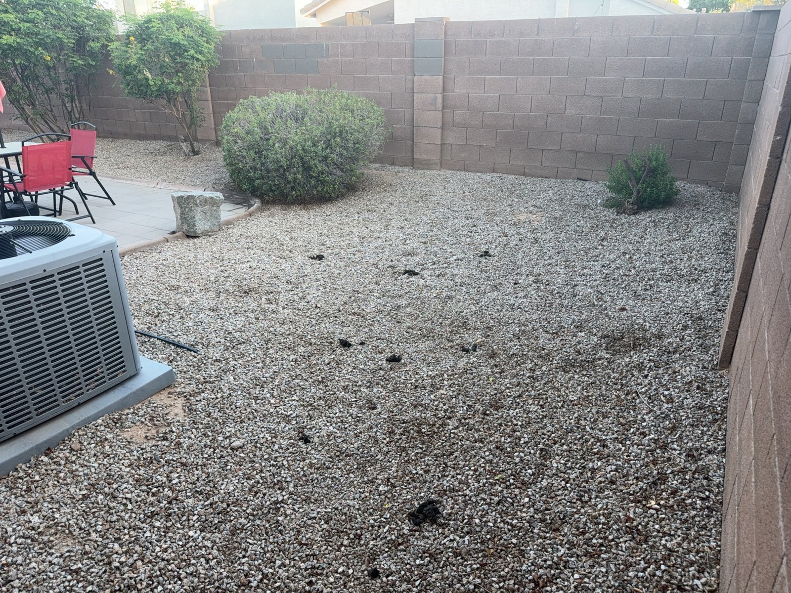 Goodyear yard before a Plunto Fresh pet waste removal service.