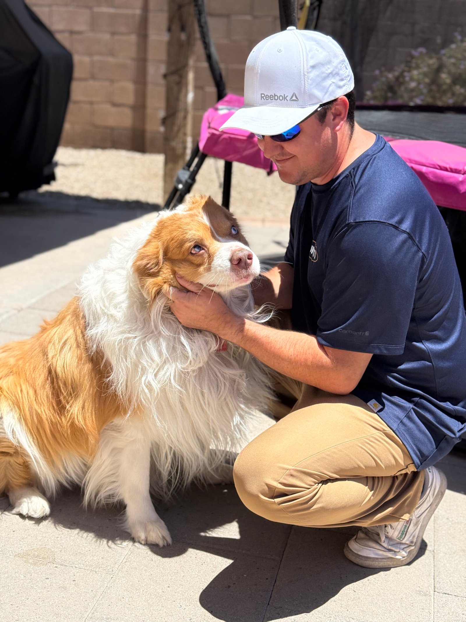 Plunto Fresh service in Goodyear with a dog during a yard visit.